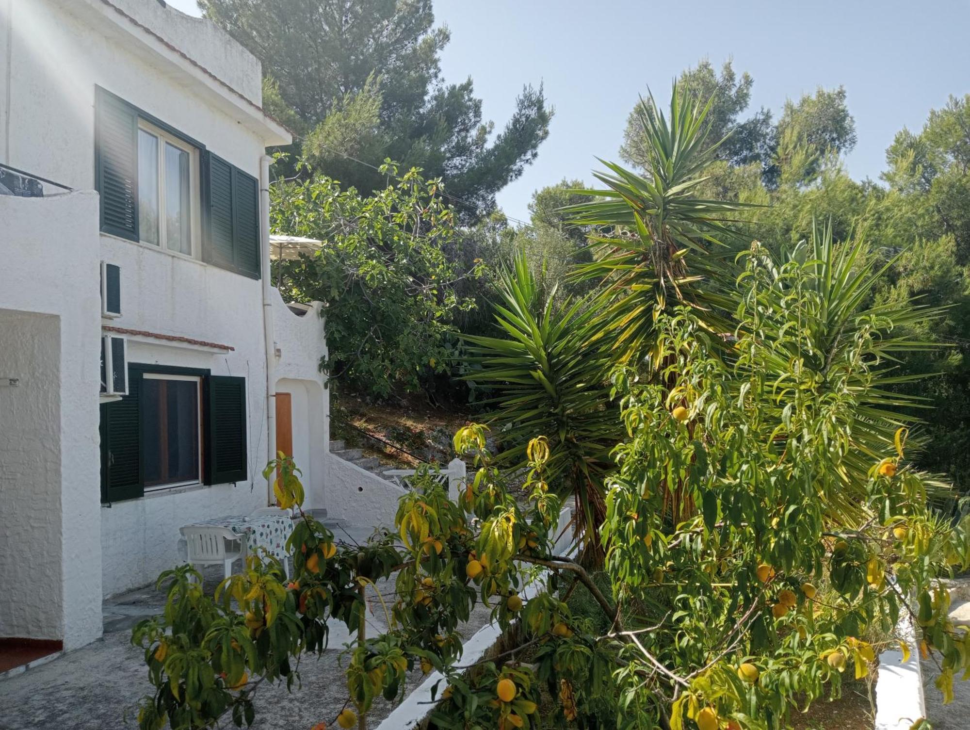 ויאסטה Residence Dolce Far Niente מראה חיצוני תמונה