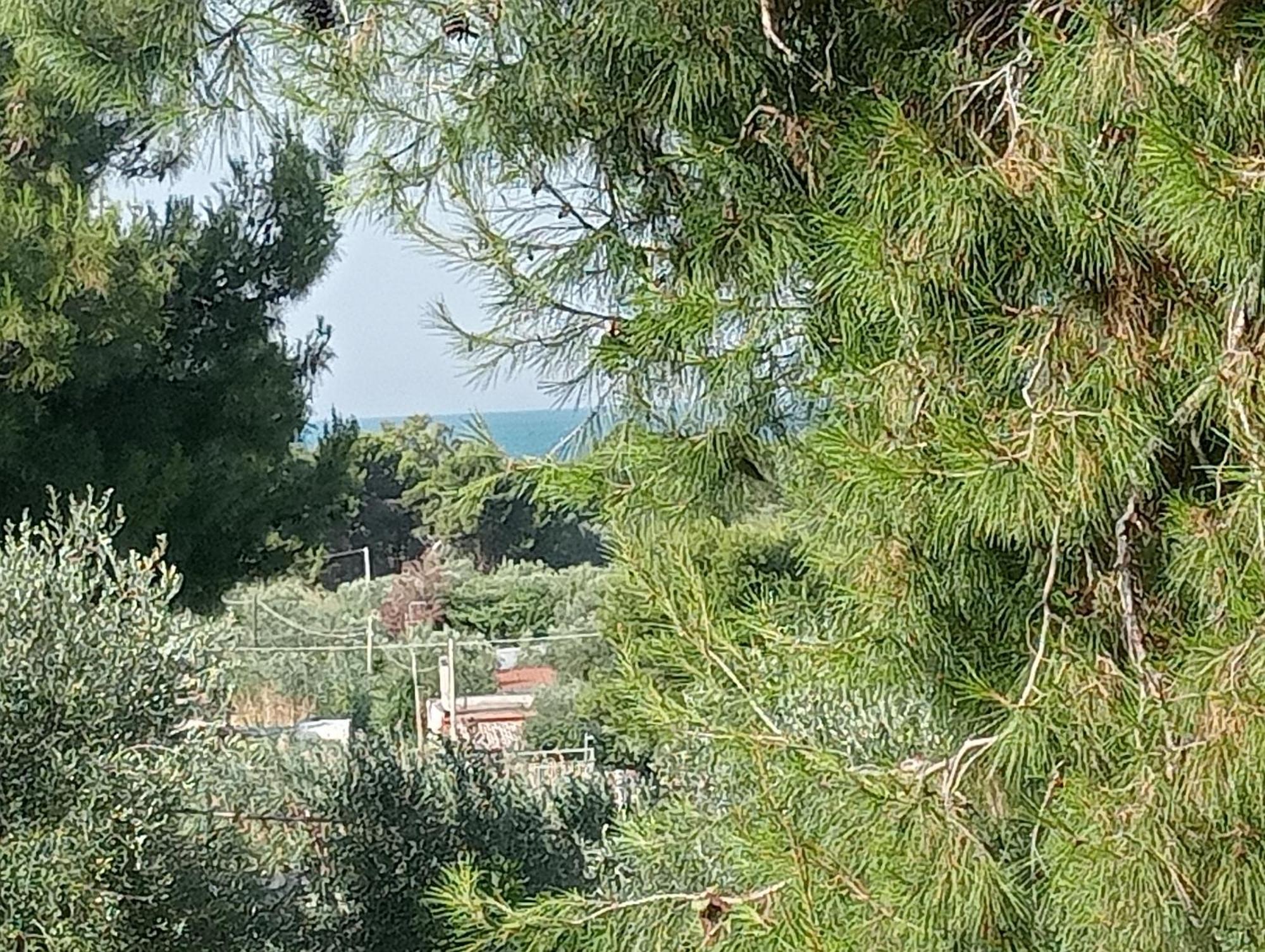 ויאסטה Residence Dolce Far Niente מראה חיצוני תמונה