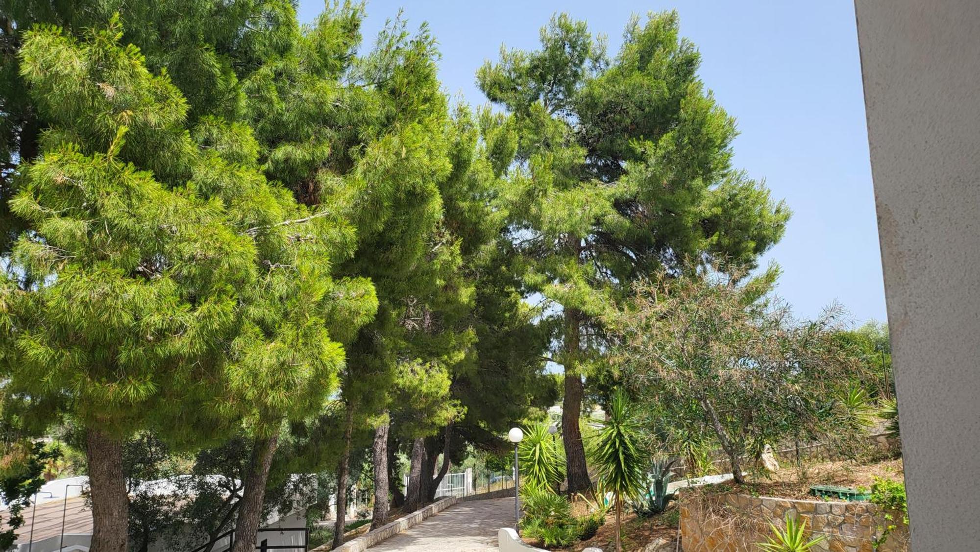 ויאסטה Residence Dolce Far Niente מראה חיצוני תמונה