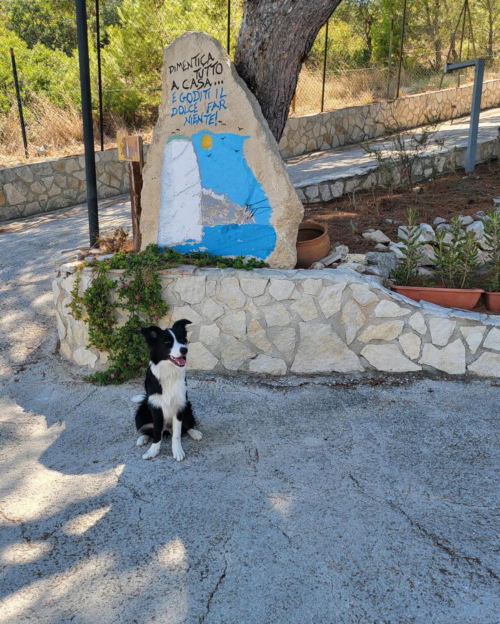 ויאסטה Residence Dolce Far Niente מראה חיצוני תמונה